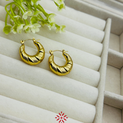 Stylish Earrings